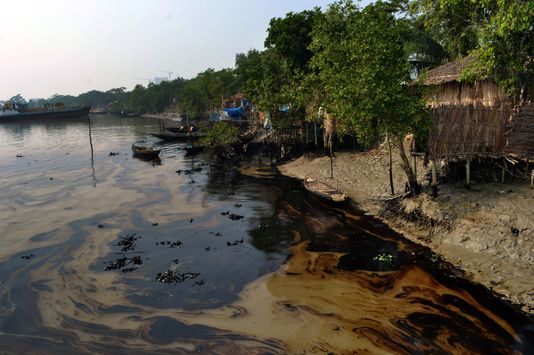 Catastrophique marée noire au Bangladesh